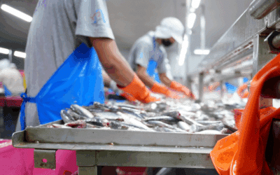 Flake vs Cracked Ice: What’s the Best for Seafood Freshness?