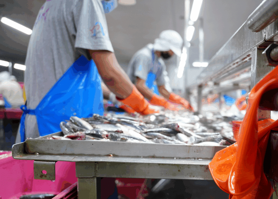 commercial ice maker for seafood processing